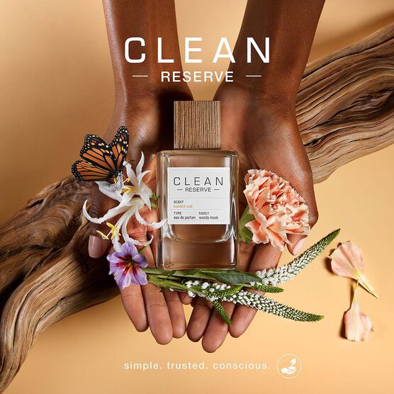 CLEAN RESERVE SUEDED OUD  EDP